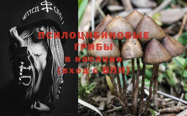 дживик Протвино