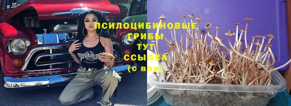 дживик Протвино