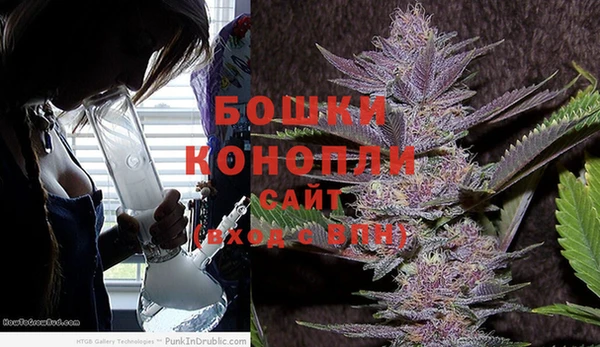 дживик Протвино