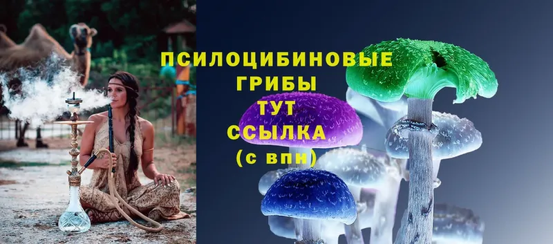 Галлюциногенные грибы Psilocybe  наркошоп  Энгельс 