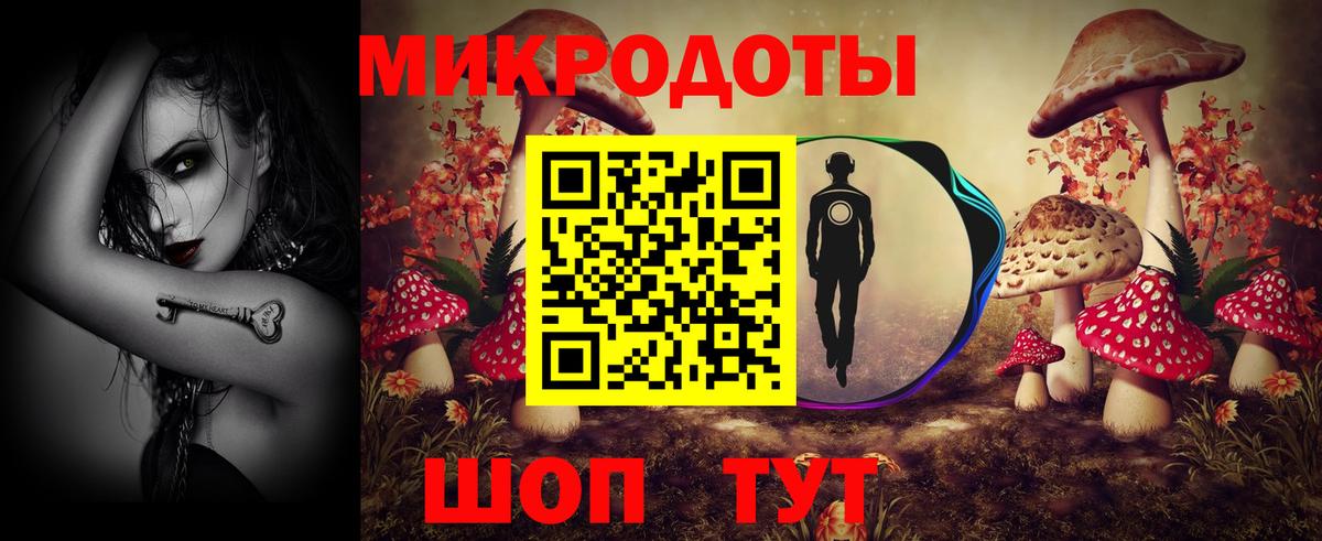 Энгельс  Галлюциногенные грибы Psilocybine cubensis  Вход с VPN  Псилоцибиновые грибы мухоморы 